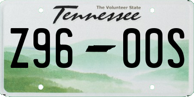 TN license plate Z9600S