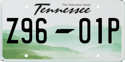 TN license plate Z9601P