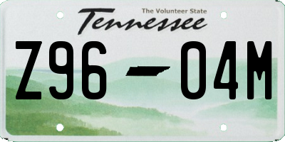 TN license plate Z9604M