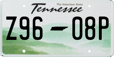 TN license plate Z9608P