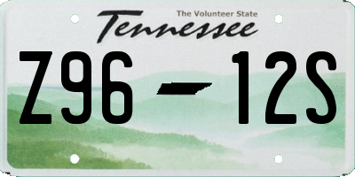 TN license plate Z9612S