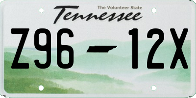 TN license plate Z9612X