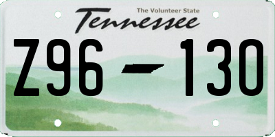 TN license plate Z9613O