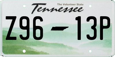 TN license plate Z9613P