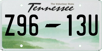 TN license plate Z9613U