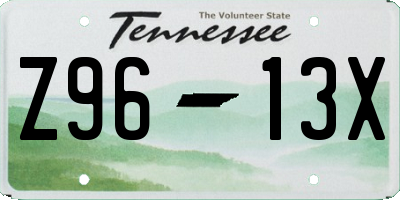 TN license plate Z9613X