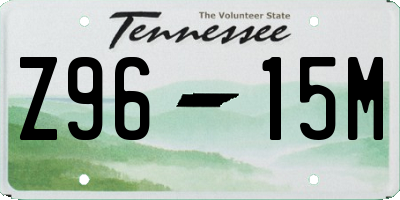 TN license plate Z9615M