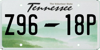 TN license plate Z9618P