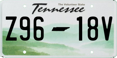 TN license plate Z9618V