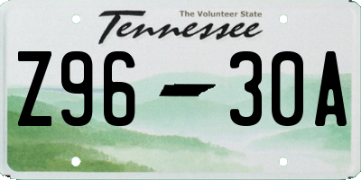 TN license plate Z9630A