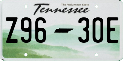 TN license plate Z9630E