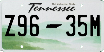 TN license plate Z9635M