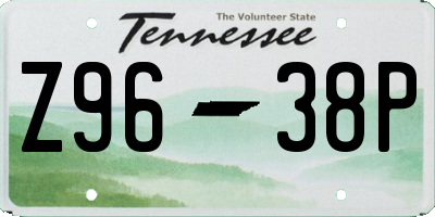 TN license plate Z9638P