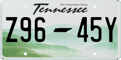 TN license plate Z9645Y