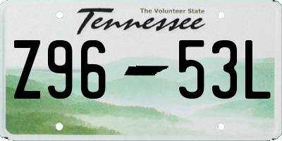 TN license plate Z9653L