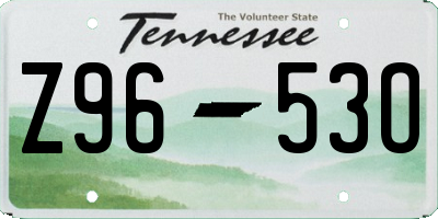 TN license plate Z9653O