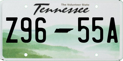 TN license plate Z9655A