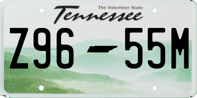 TN license plate Z9655M