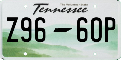 TN license plate Z9660P