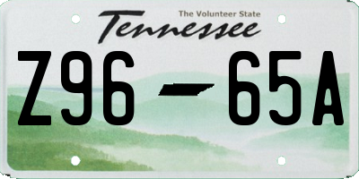 TN license plate Z9665A