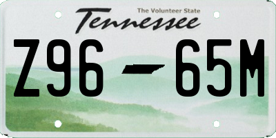 TN license plate Z9665M