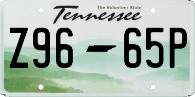 TN license plate Z9665P