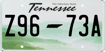 TN license plate Z9673A