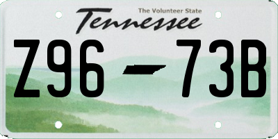 TN license plate Z9673B