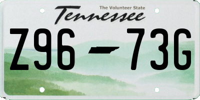 TN license plate Z9673G