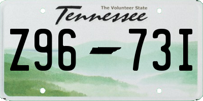 TN license plate Z9673I