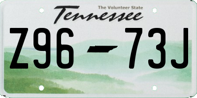 TN license plate Z9673J