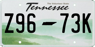 TN license plate Z9673K