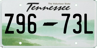 TN license plate Z9673L