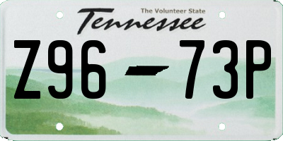 TN license plate Z9673P