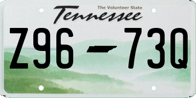 TN license plate Z9673Q