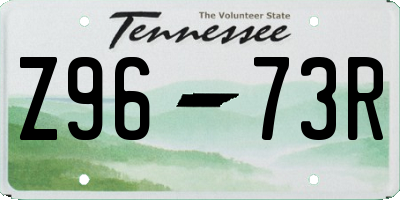 TN license plate Z9673R