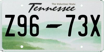 TN license plate Z9673X