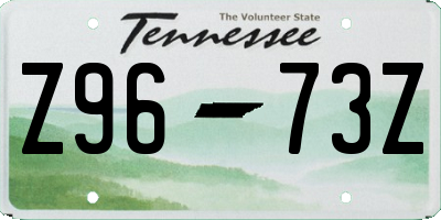 TN license plate Z9673Z