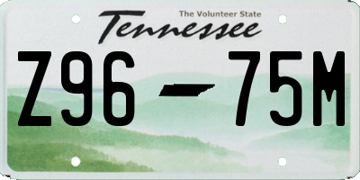 TN license plate Z9675M