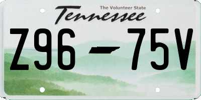 TN license plate Z9675V