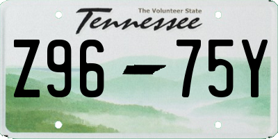 TN license plate Z9675Y