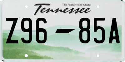 TN license plate Z9685A