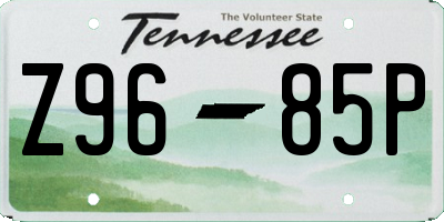 TN license plate Z9685P