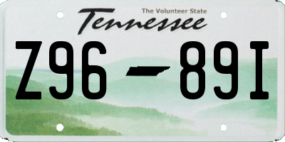 TN license plate Z9689I