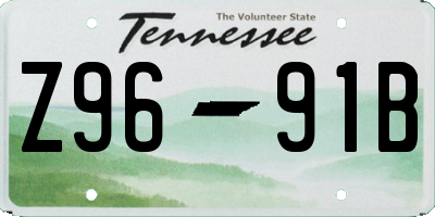 TN license plate Z9691B