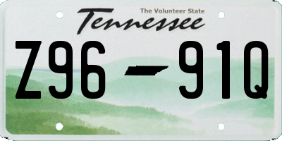 TN license plate Z9691Q