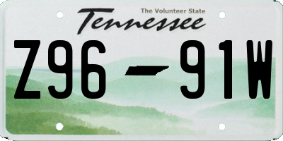 TN license plate Z9691W