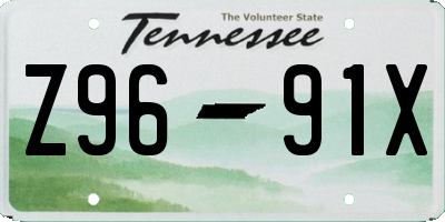 TN license plate Z9691X