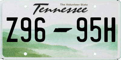 TN license plate Z9695H