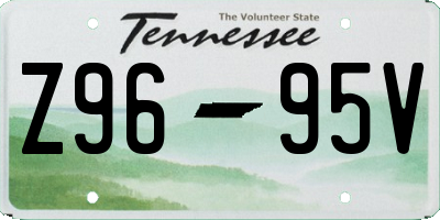 TN license plate Z9695V